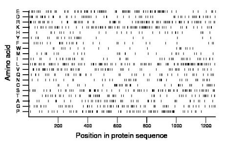 amino acid map