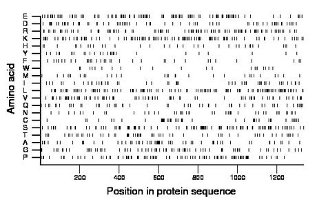 amino acid map