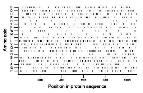 amino acid map