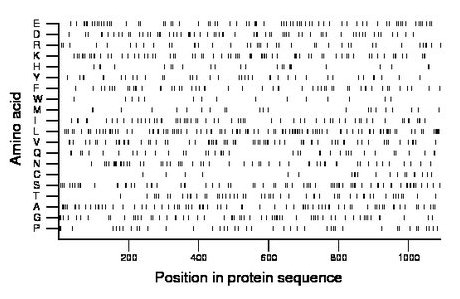 amino acid map