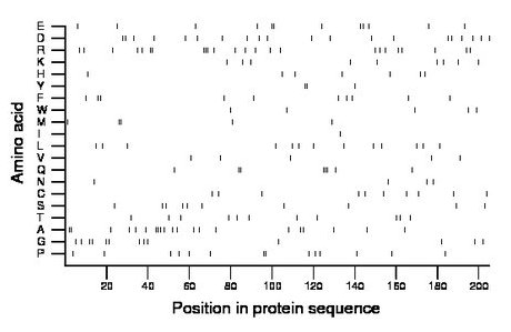 amino acid map