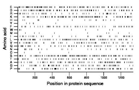 amino acid map