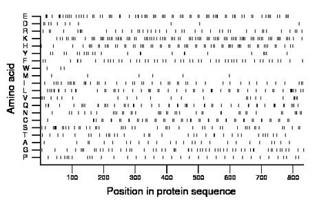 amino acid map