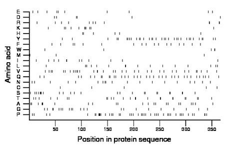 amino acid map