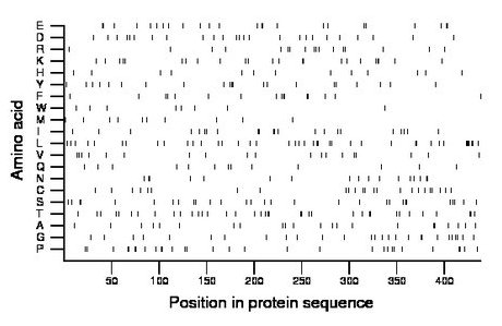 amino acid map