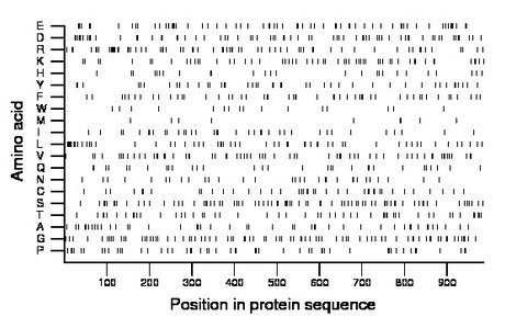 amino acid map