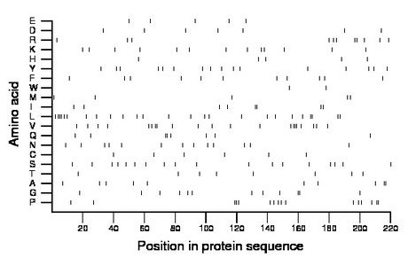 amino acid map