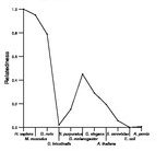 comparative genomics plot