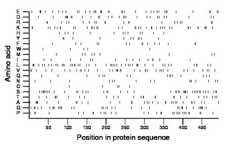 amino acid map