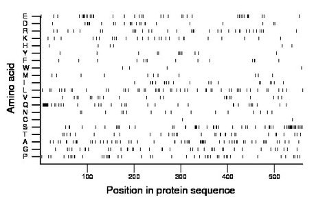 amino acid map