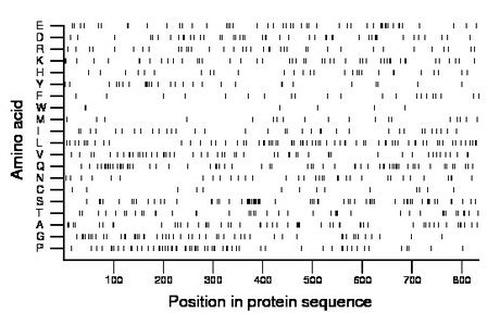 amino acid map