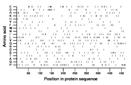 amino acid map