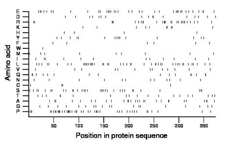 amino acid map