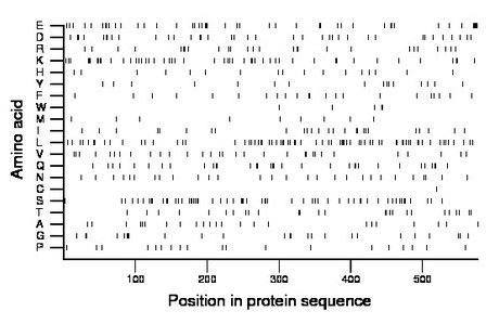 amino acid map