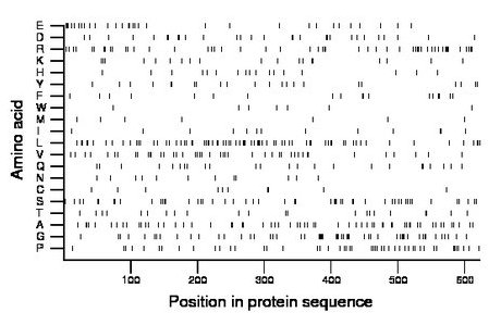 amino acid map