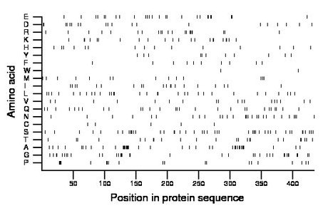 amino acid map