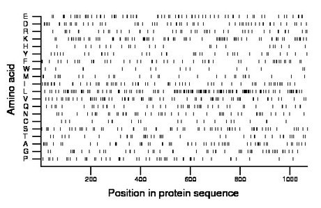 amino acid map