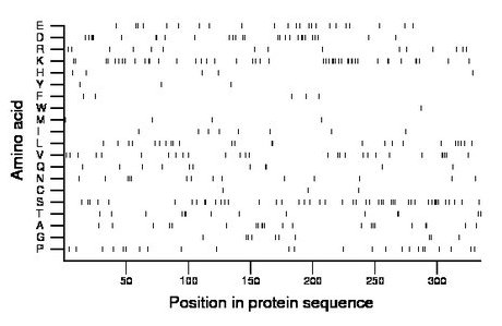 amino acid map