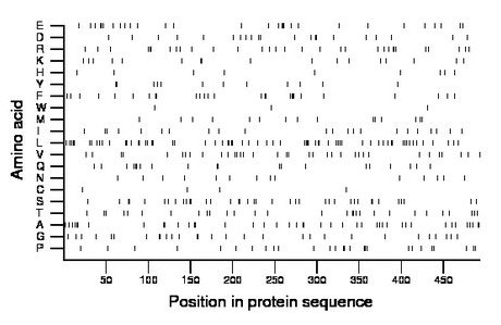 amino acid map