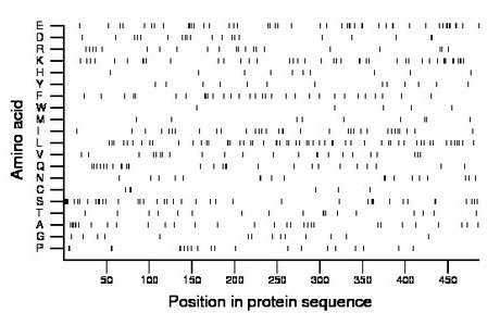 amino acid map