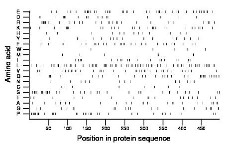 amino acid map