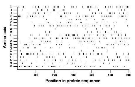 amino acid map