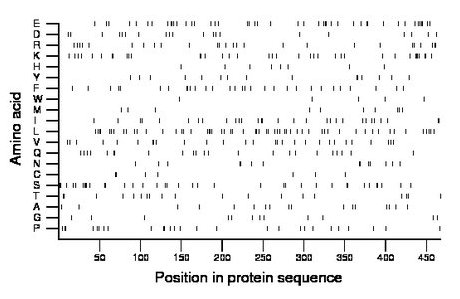 amino acid map