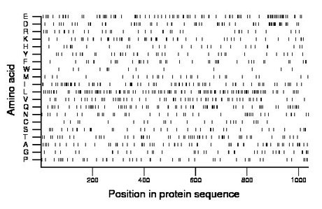 amino acid map