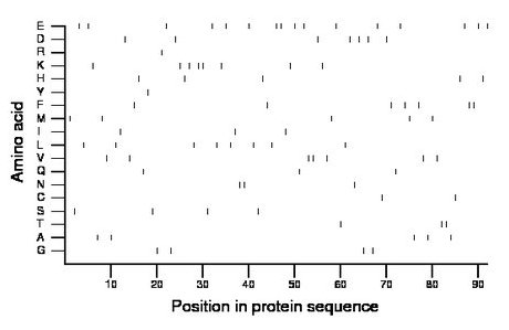 amino acid map