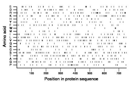 amino acid map