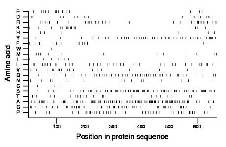 amino acid map