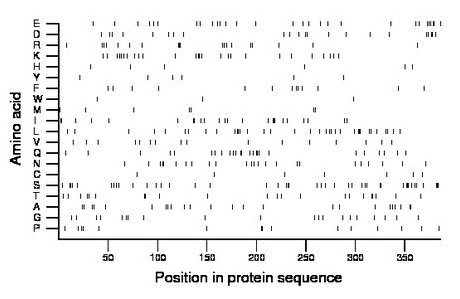 amino acid map