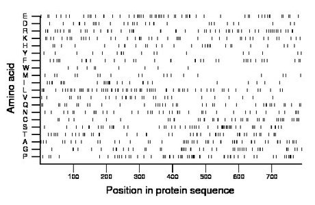 amino acid map