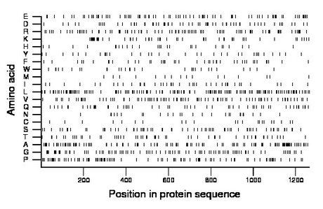 amino acid map