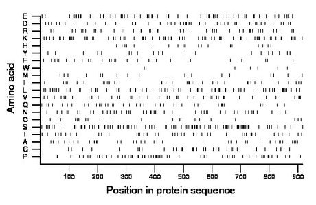 amino acid map