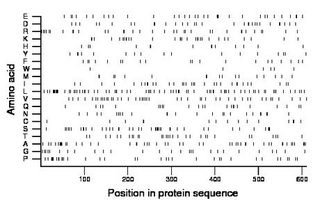 amino acid map