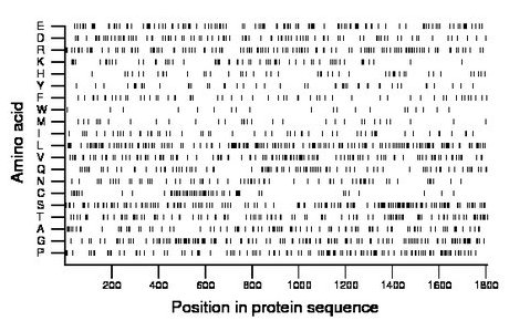 amino acid map