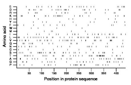 amino acid map