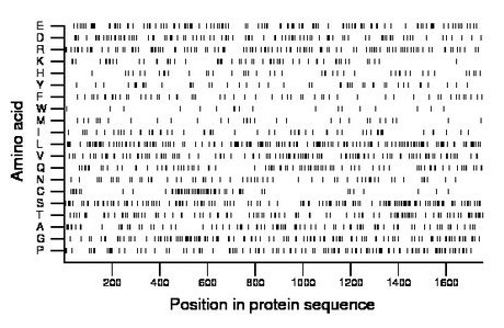 amino acid map