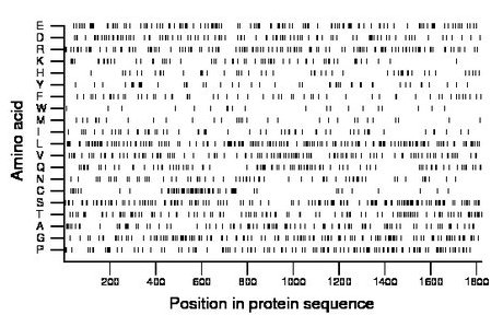 amino acid map