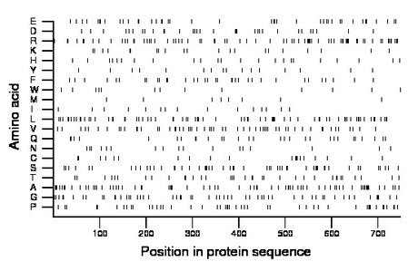 amino acid map