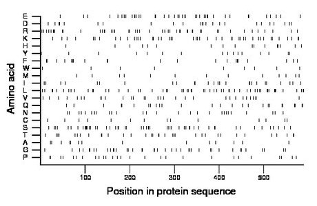 amino acid map