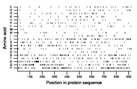 amino acid map