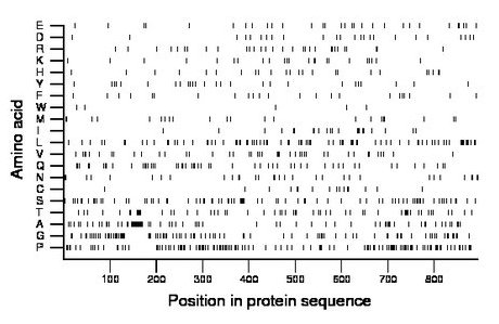 amino acid map