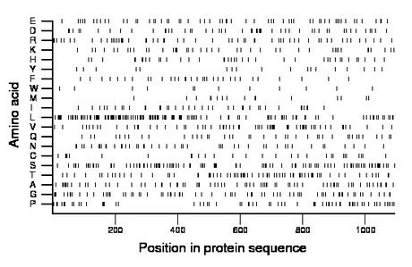 amino acid map