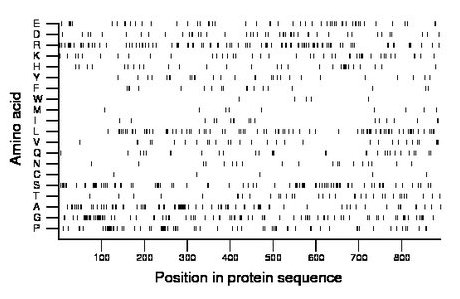 amino acid map