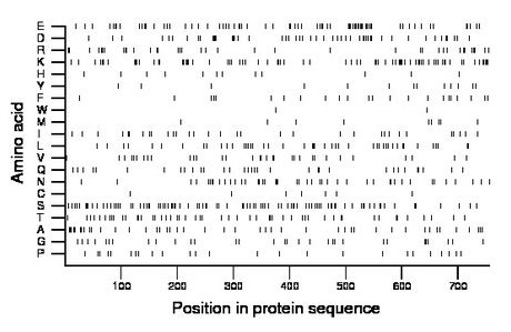 amino acid map