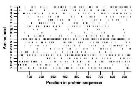 amino acid map