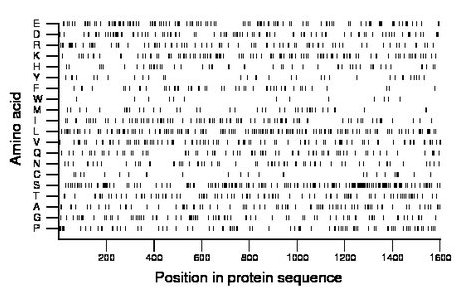 amino acid map