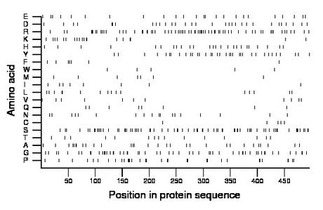 amino acid map